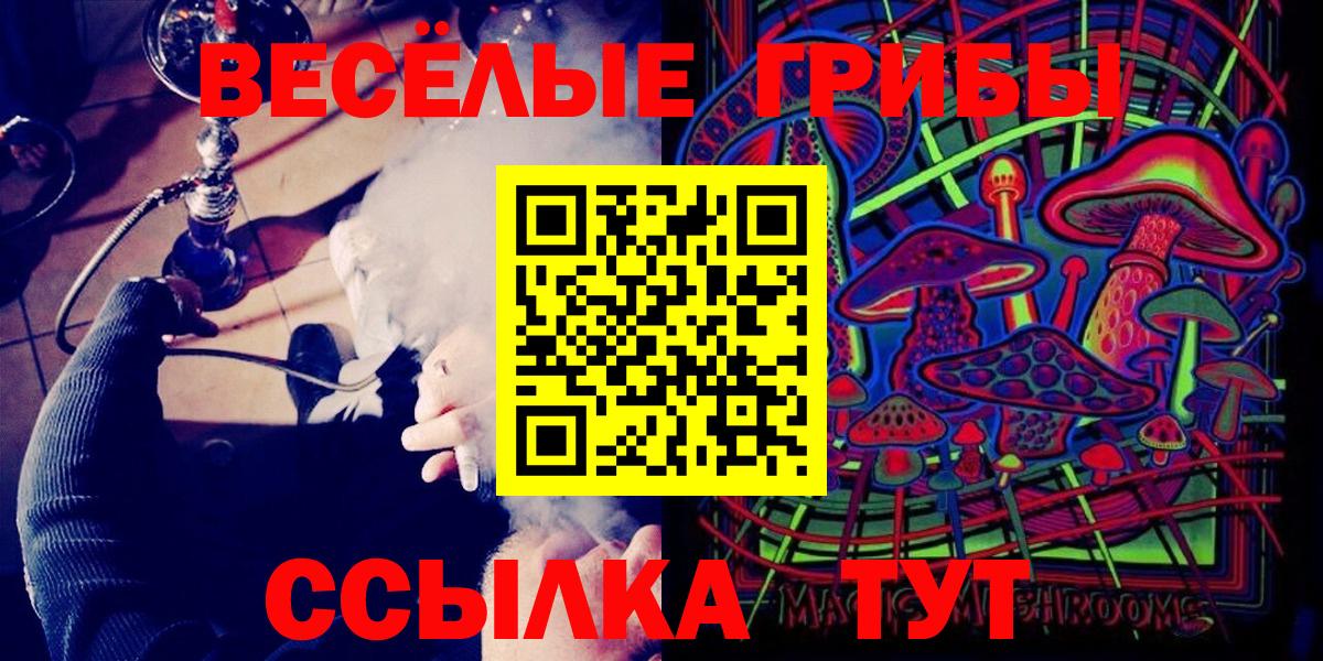 Псилоцибиновые грибы Psilocybe Лабытнанги